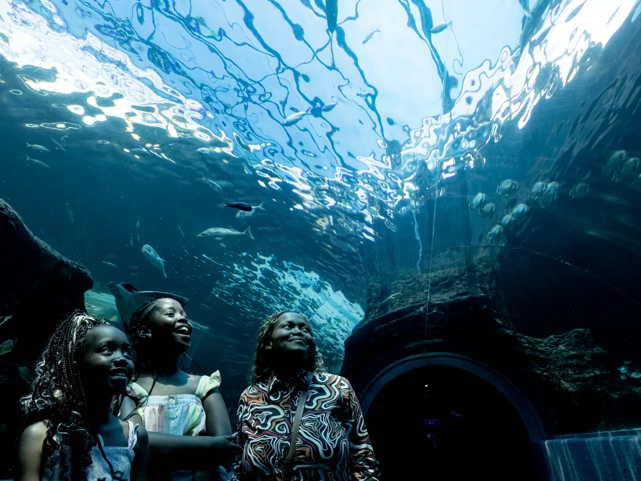 Be part of the Aquarium's story