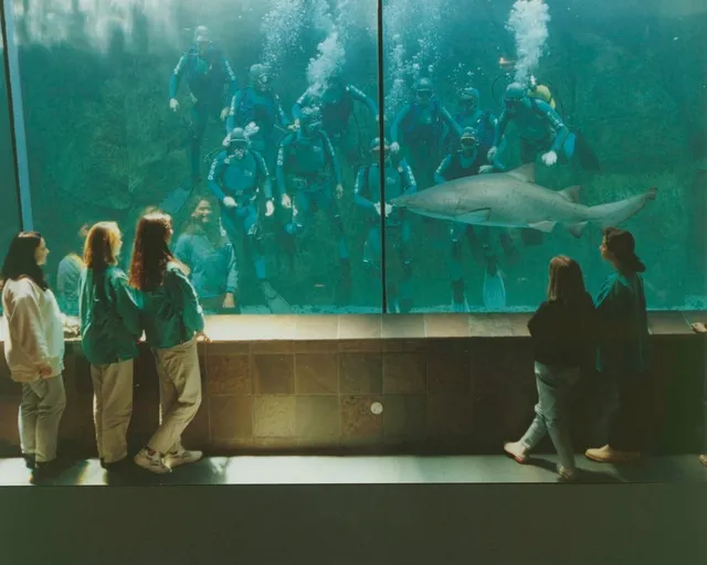 How three iconic exhibits shaped 30 years of wonder at the Two Oceans Aquarium