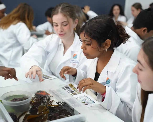 Creatures & Creators returns: A one-day dive into design, science, and touch