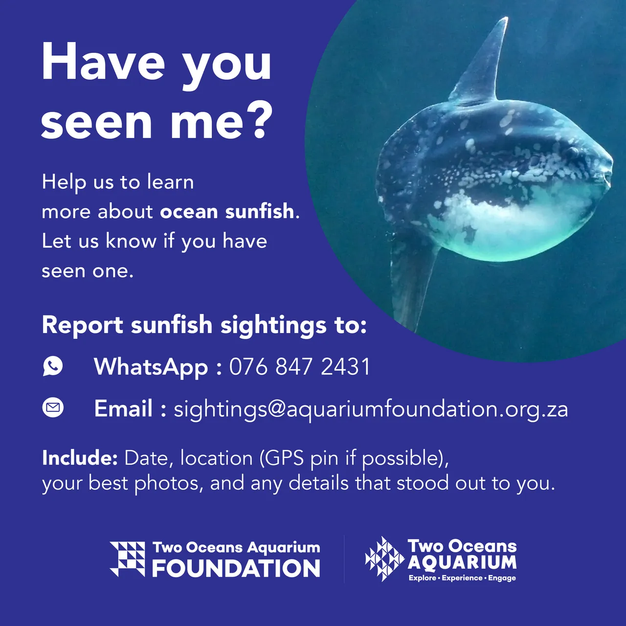 SUNFISHSTRANDING TOA 2023 POST1