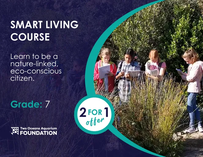 COURSEBANNERS TOA 2023 SMARTLIVING3