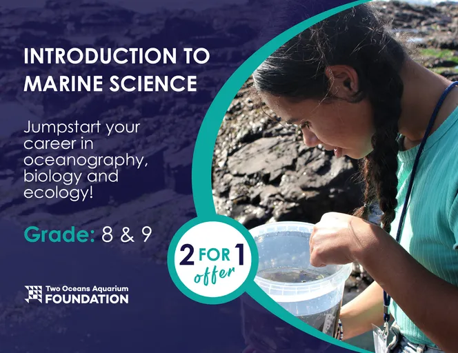 COURSEBANNERS TOA 2023 INTROTOMAR3