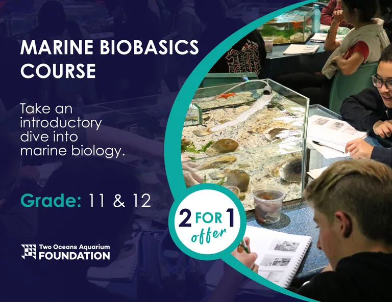 COURSEBANNERS TOA 2023 MARINEBIO3
