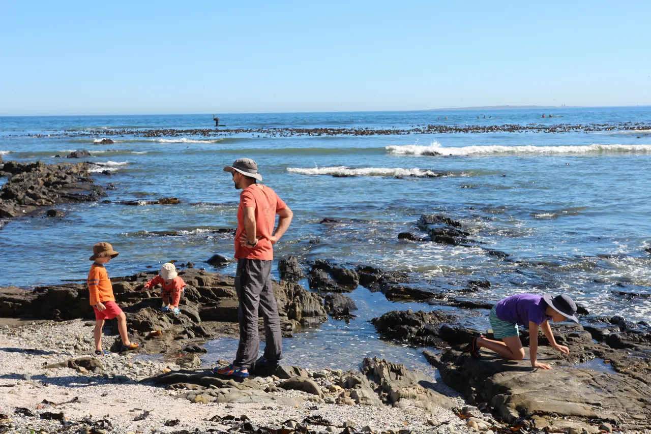 How to enjoy your local MPAs