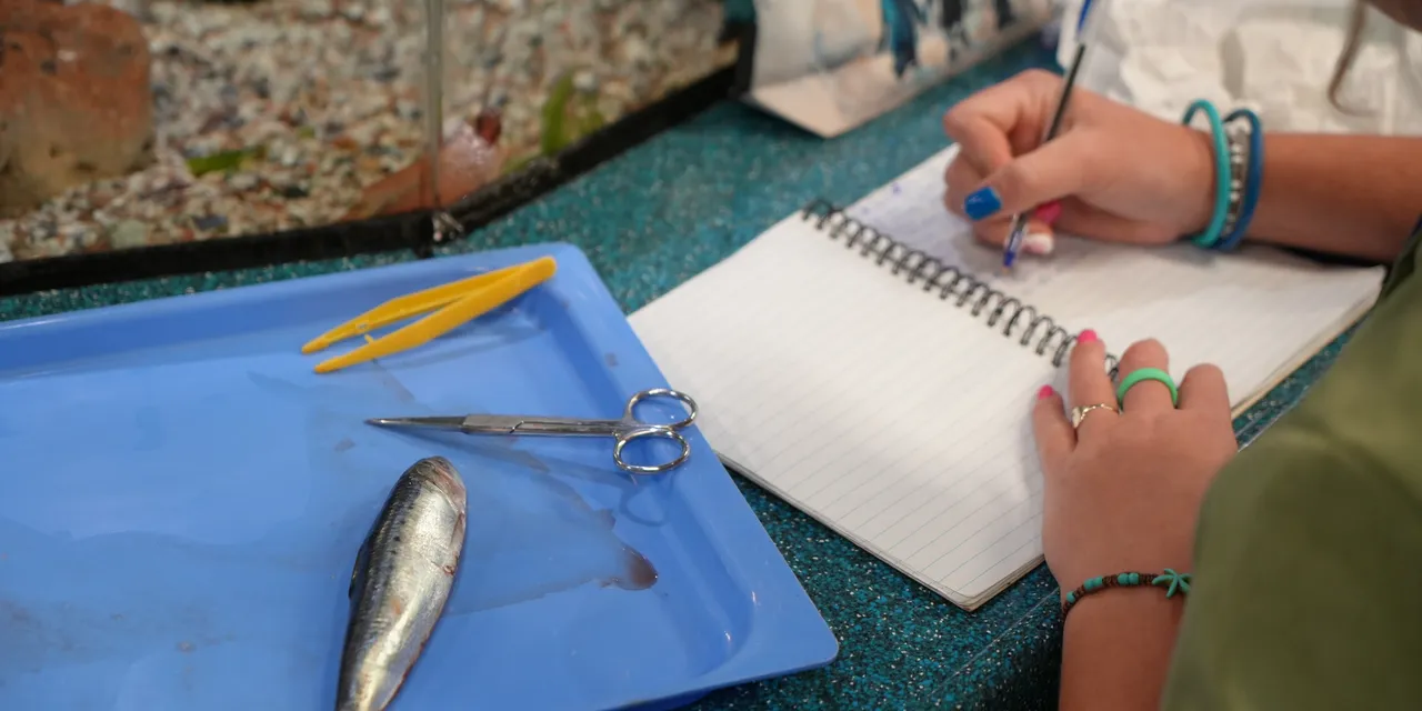 Marine Sciences FET