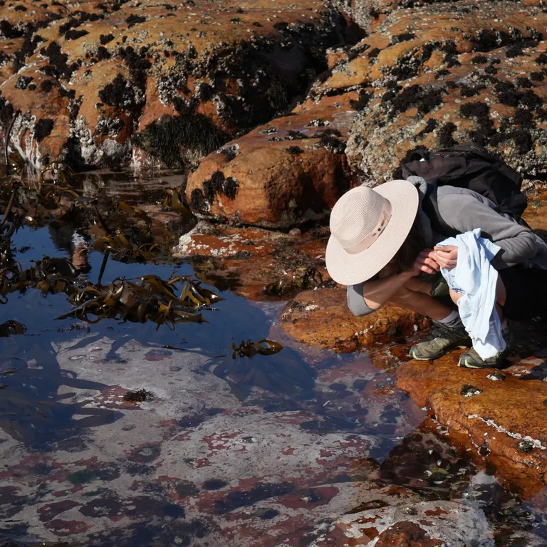 Marine Protected Areas Day