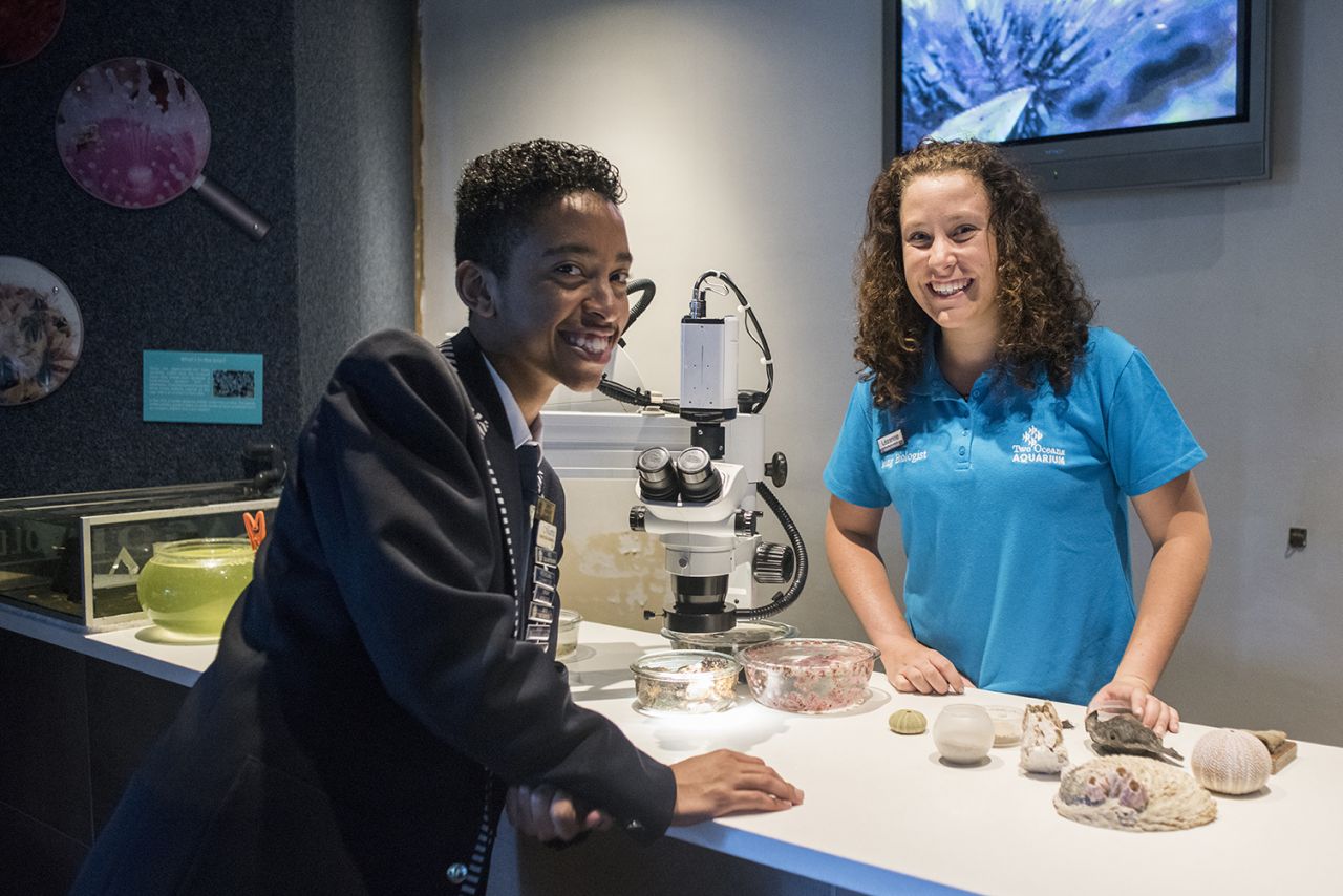 Become a two oceans aquarium volunteer