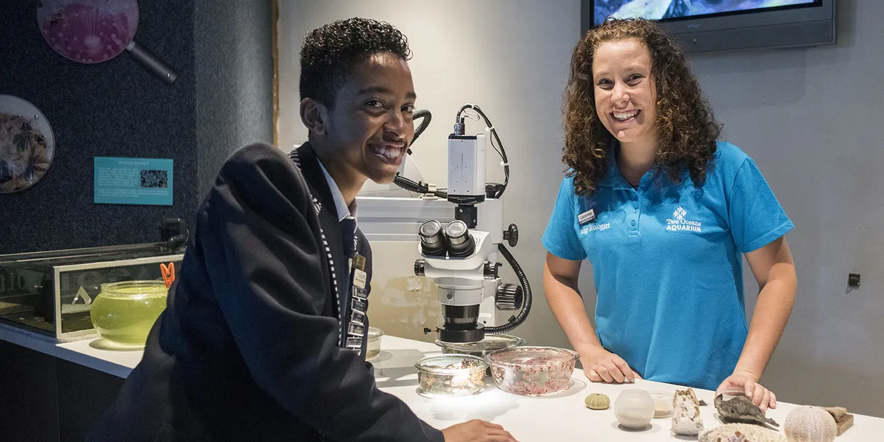 Volunteer at the Two Oceans Aquarium