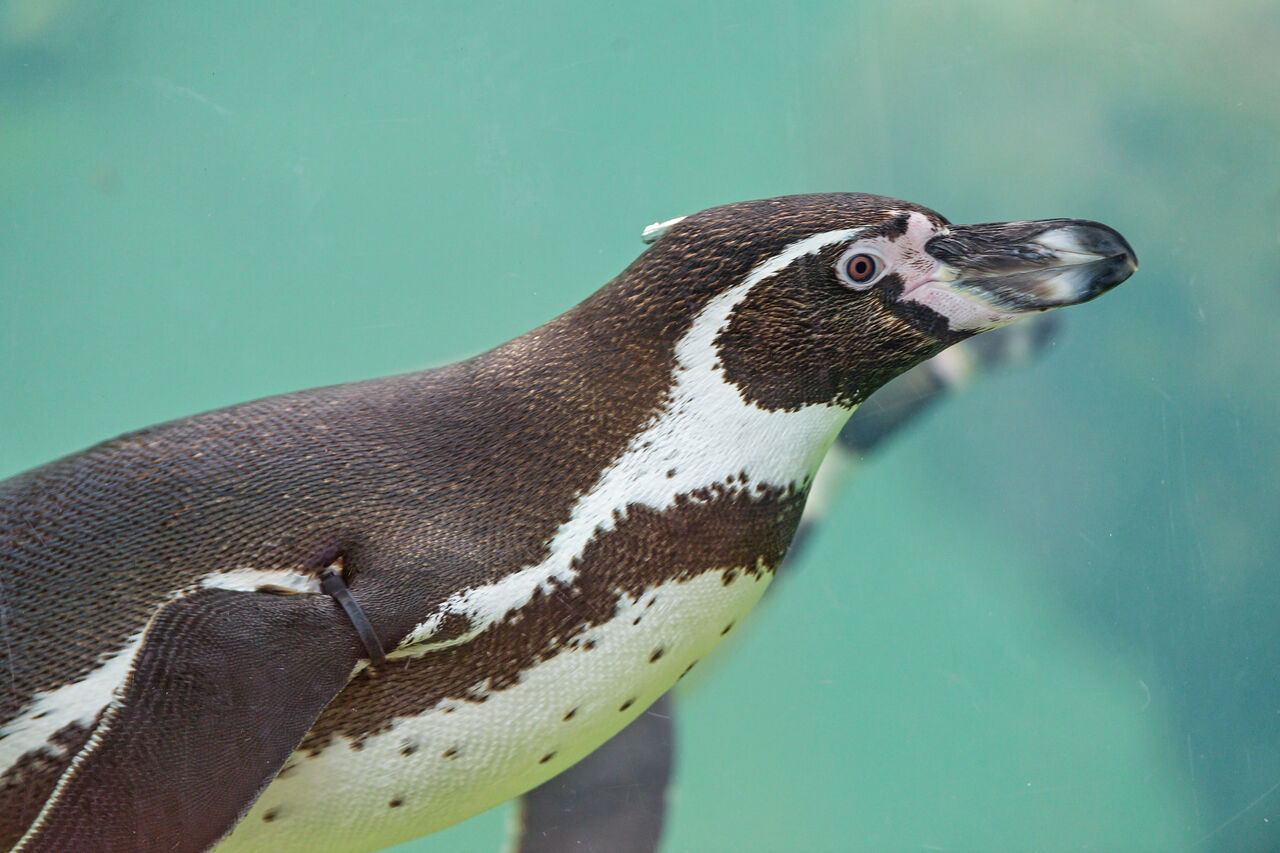 9479435780 b728f68f21 k