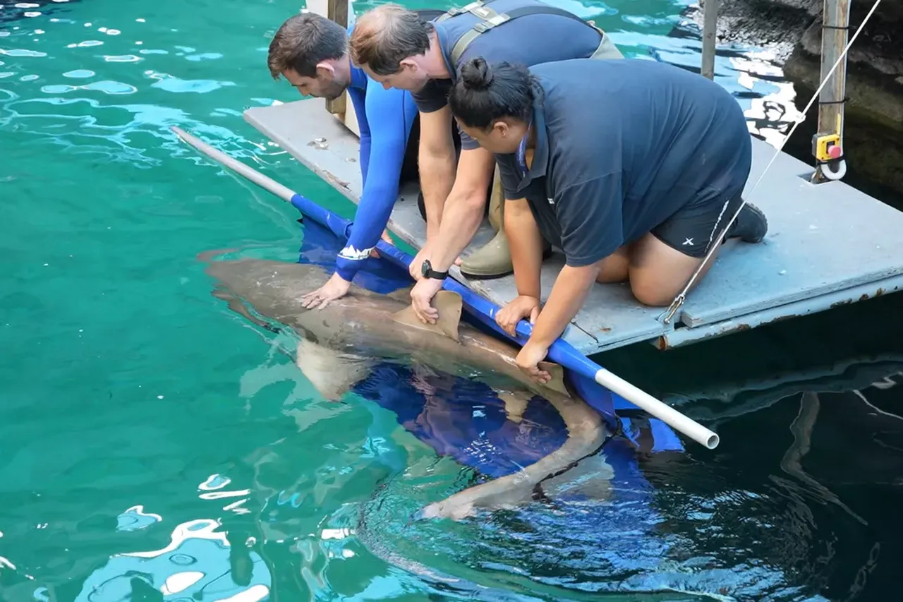 Screenshot 25 2f8ab07c3b37edb454c896adad412303