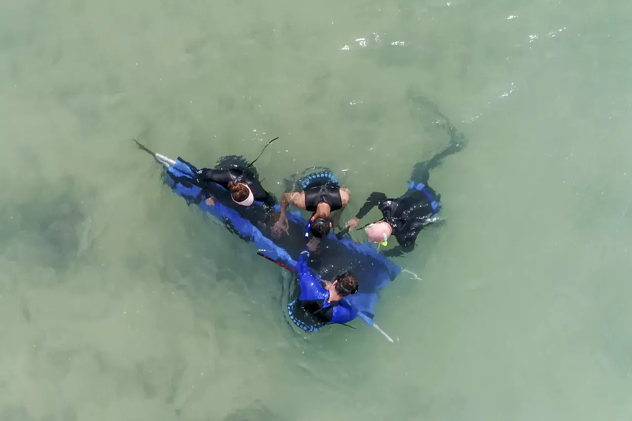 Shark 10 edit 2f8ab07c3b37edb454c896adad412303