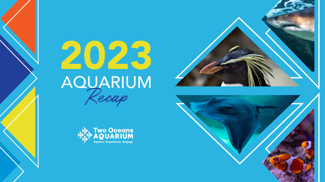 2023 recap: A look back at an incredible year!