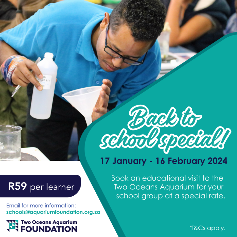 Two Oceans Aquarium Foundation Back To School Start The Year With   Back To School Jan Feb 2024 Square F36d3aee4cc4fe347449743f7142db9a 