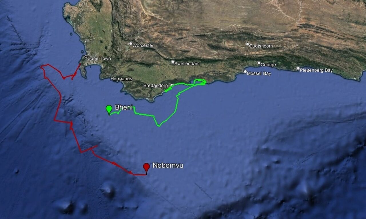 Tracking our Turtles: News from Nobomvu!