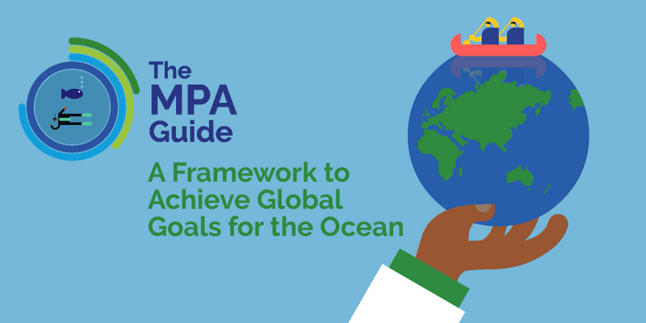 The mpa guide has been released! this is why we're so excited