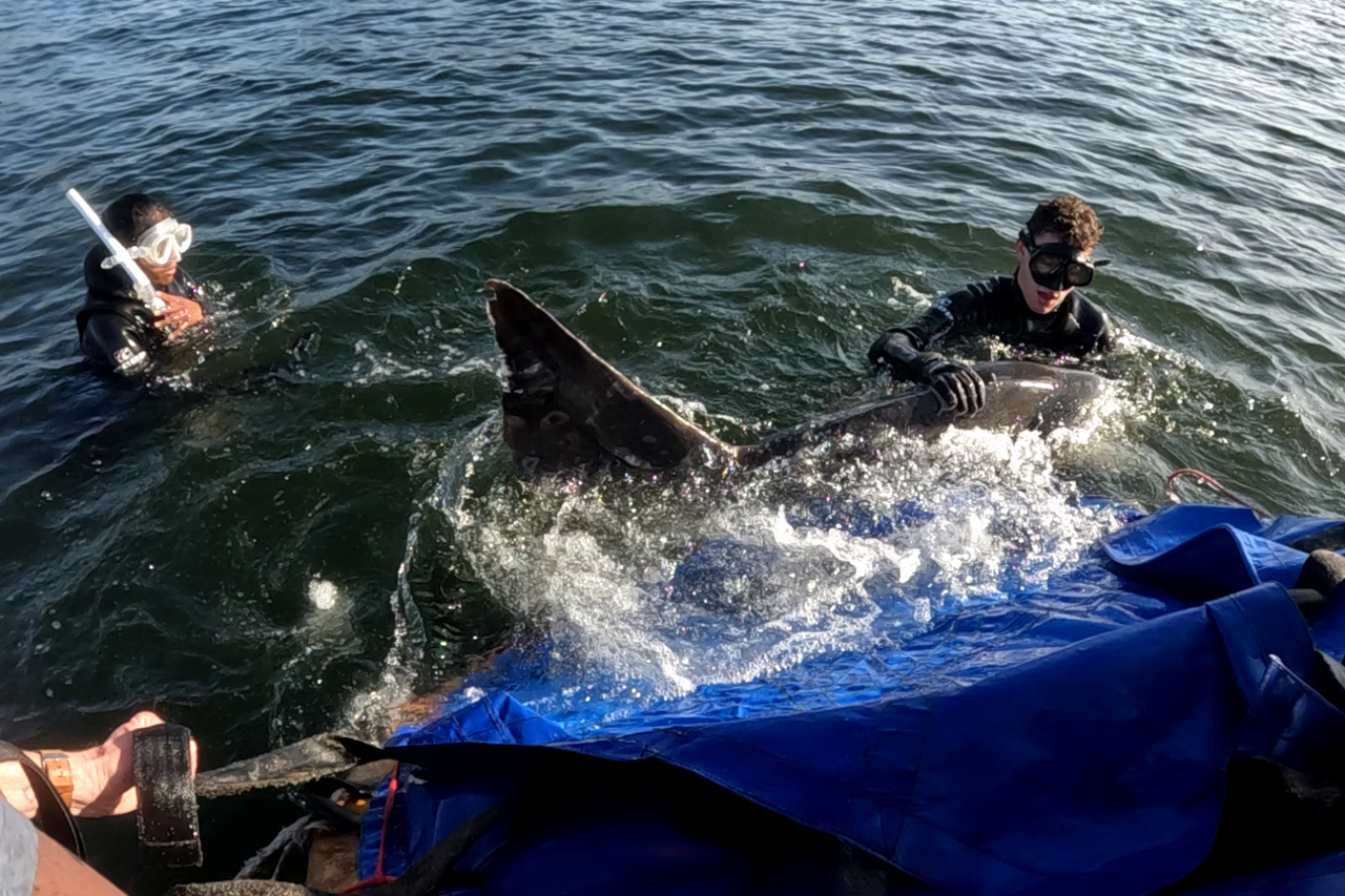 Vlcsnap 2022 06 10 07h55m55s700