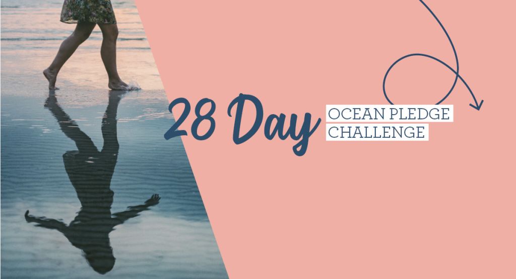 two-oceans-aquarium-take-the-28-day-challenge-with-ocean-pledge-and