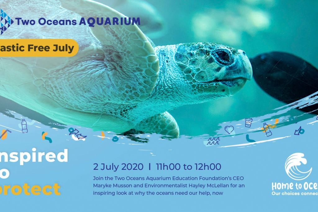 Two Oceans Aquarium Foundation | Plastic free july 2020: two oceans…