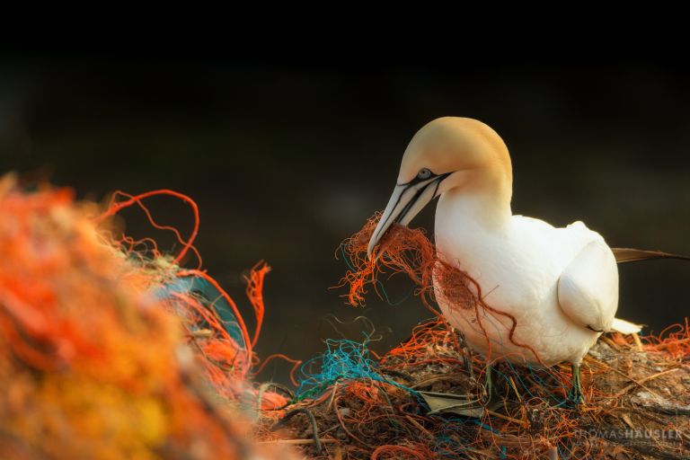 Two Oceans Aquarium | The plastic problem: how does plastic pollution…