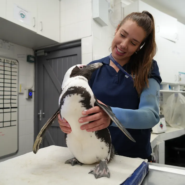 Happy Women's Day to some of our incredible ocean guardians!