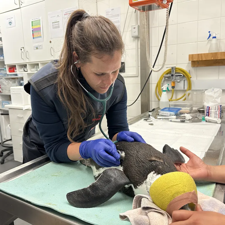 Happy Women's Day to some of our incredible ocean guardians!