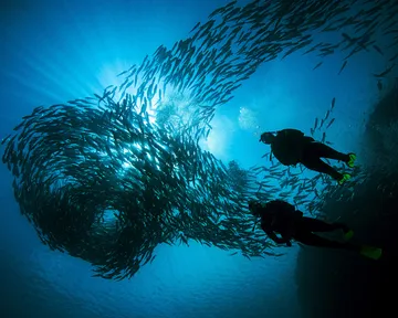 PADI Divemaster Course