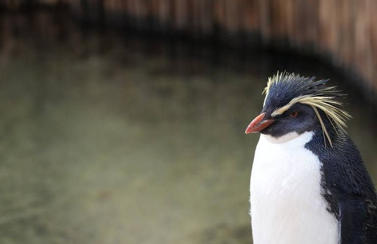 Two Oceans Aquarium: Media pack
