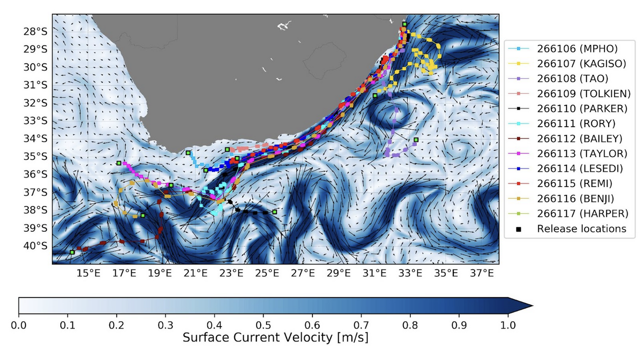 Credit Tony Candela 1