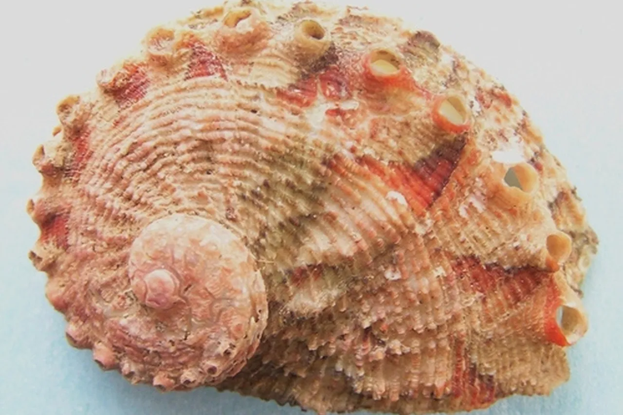 Jan Delsing no known copyright restrictions Public Domain