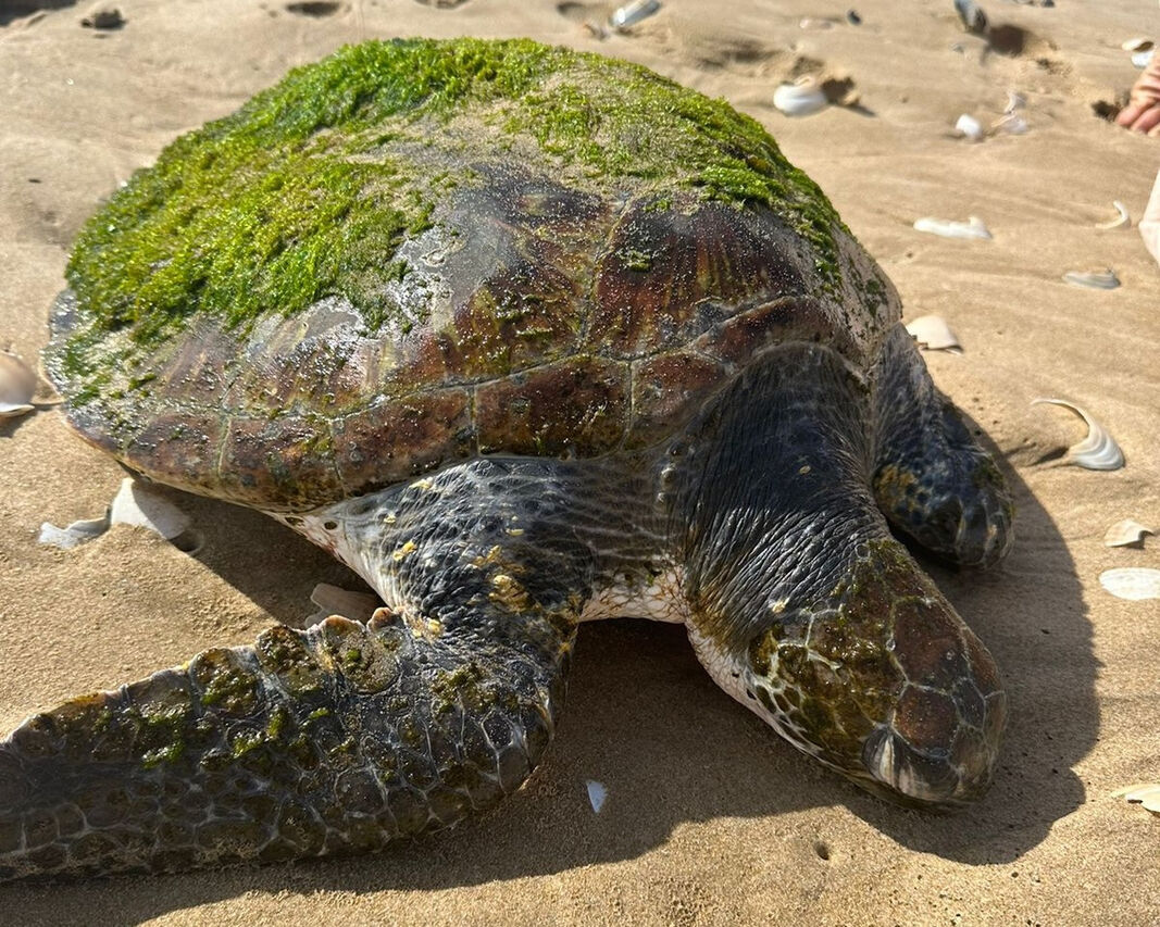 421c72f4 d3ad 4214 97d1 316a1db17bee copy