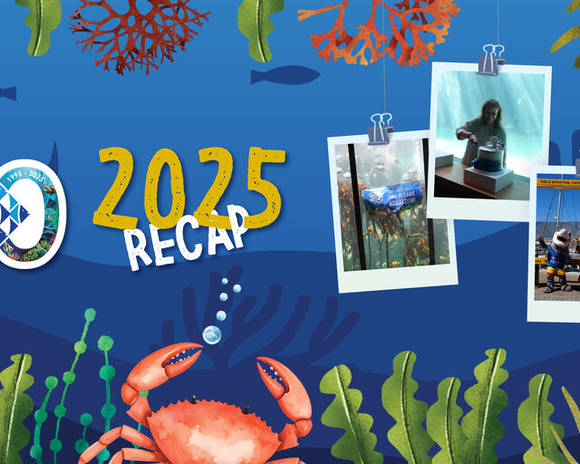 2025 recap: Celebrating the Two Oceans Aquarium's 30th birthday year