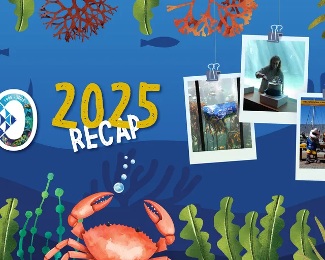 2025 recap: Celebrating the Two Oceans Aquarium's 30th birthday year
