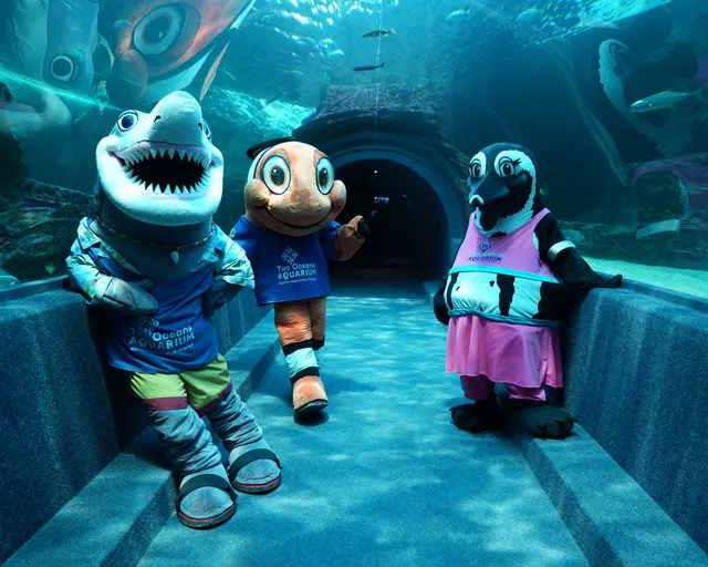 Celebrating 30 years of wonder with reflection and new beginnings at the Two Oceans Aquarium