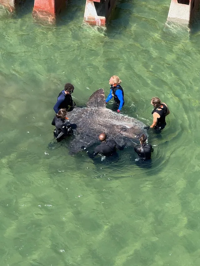 7e069d74 79af 48f4 ad82 1e406689d909 2