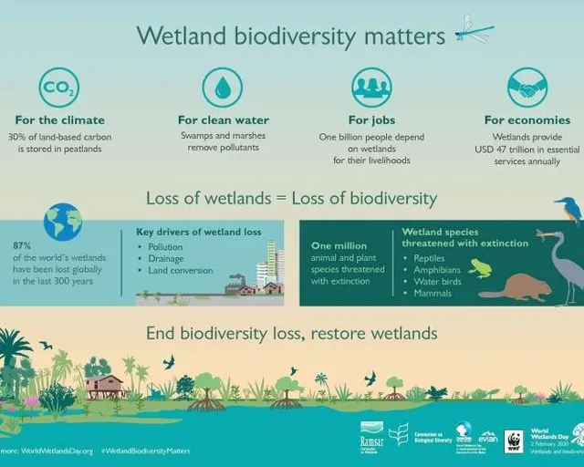 Celebrating the importance of wetlands on World Wetlands Day