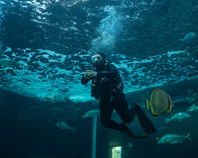 PADI Discover Scuba Diving Experience