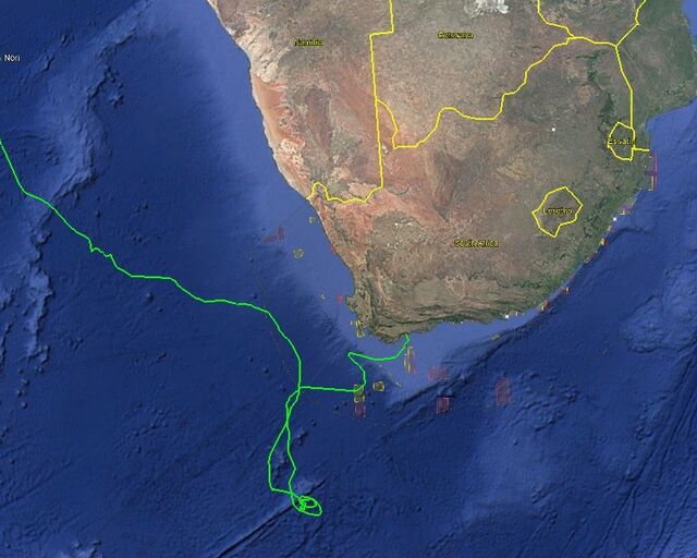 Tracking our turtles: Nori, the long-distance explorer