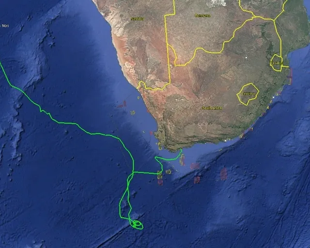 Tracking our turtles: Nori, the long-distance explorer