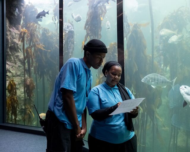 Thank you, Two Oceans Aquarium staff and volunteers, for years of amazing work