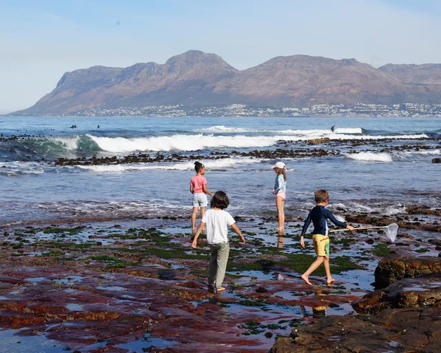 World Ocean Day 2026: How the Two Oceans Aquarium celebrated ocean action