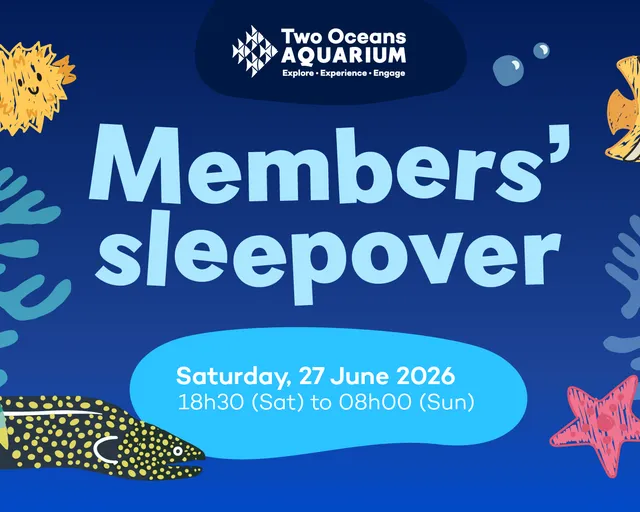 Members-only, join our Art of the Ocean family sleepover!