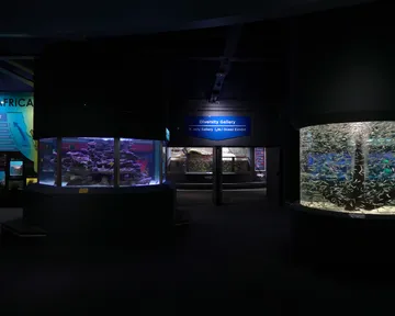 Two oceans, one incredible underwater world