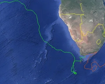 Tracking our turtles: Underwater mountain ranges and mystery routes
