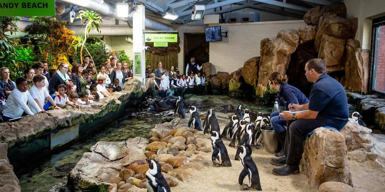 Experience the ocean