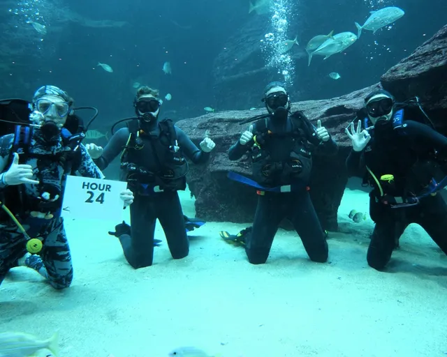 Diver24: UCT divers attempting 24-hour diving relay for a good cause this weekend!