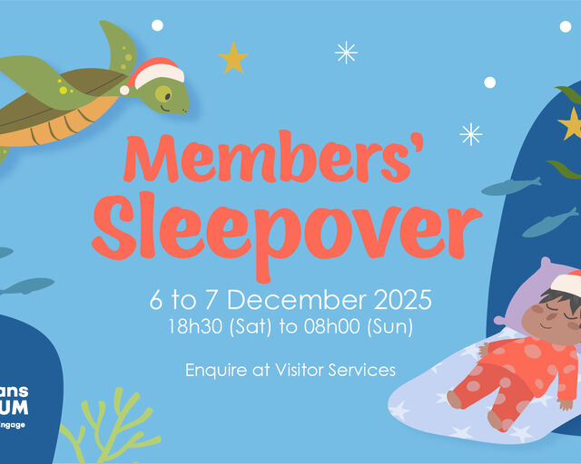 Members-only: The Festive Family Sleepover is here!