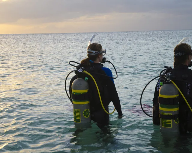 PADI Enriched Air (Nitrox) Diver Certification