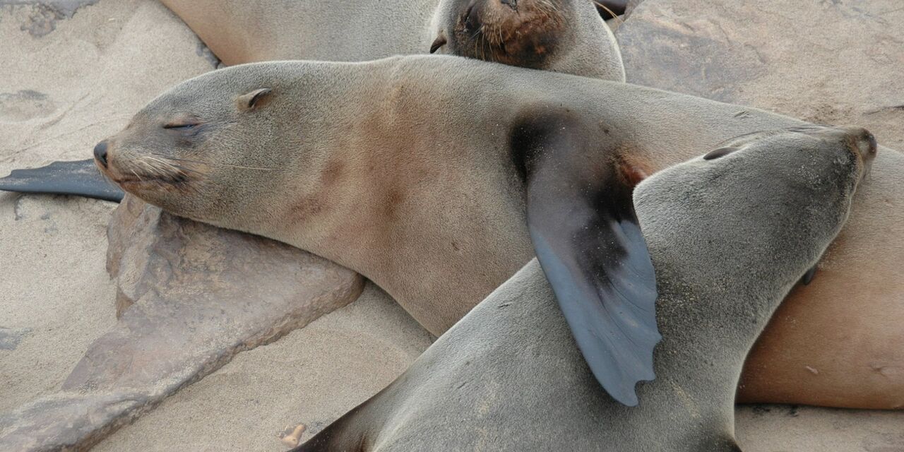 Conservation and care