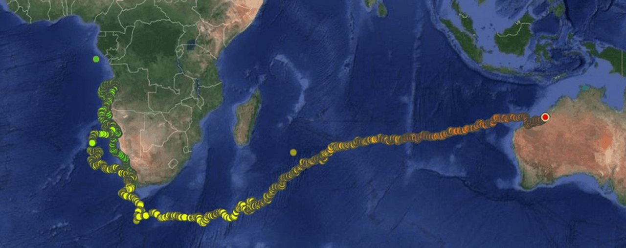 After 40 000km, Yoshi is finally home - probably!