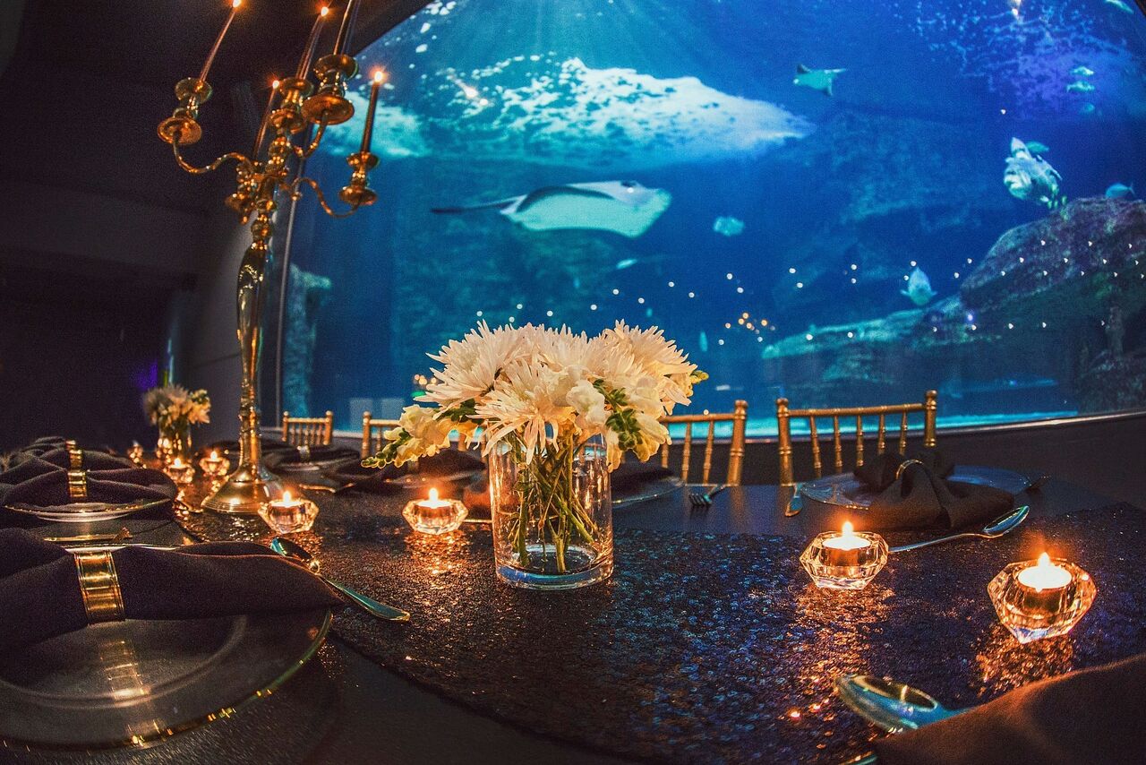 Catering for all your fabulous functions needs